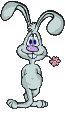 lapin-03.gif